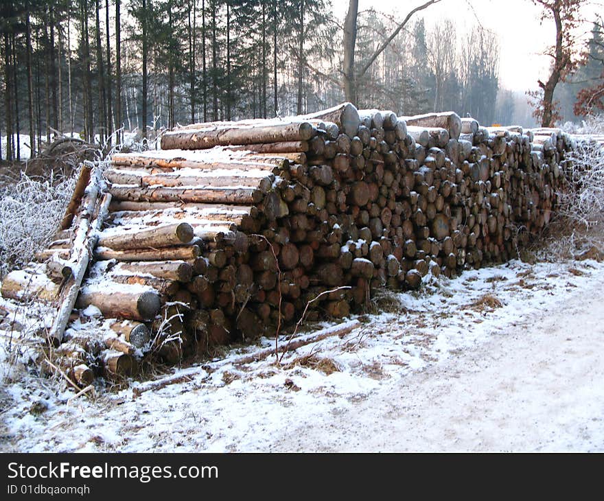 A close-up view of some lumber. A close-up view of some lumber