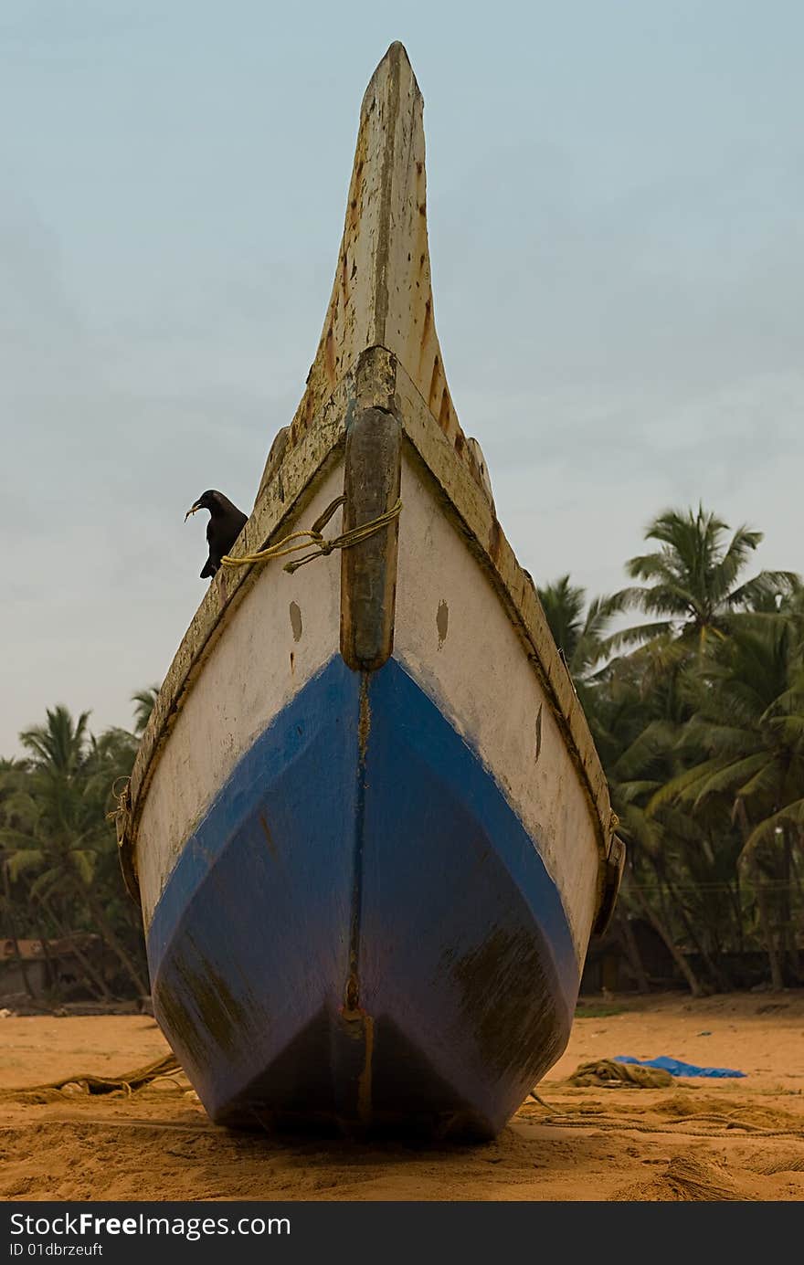 Crow On Boat