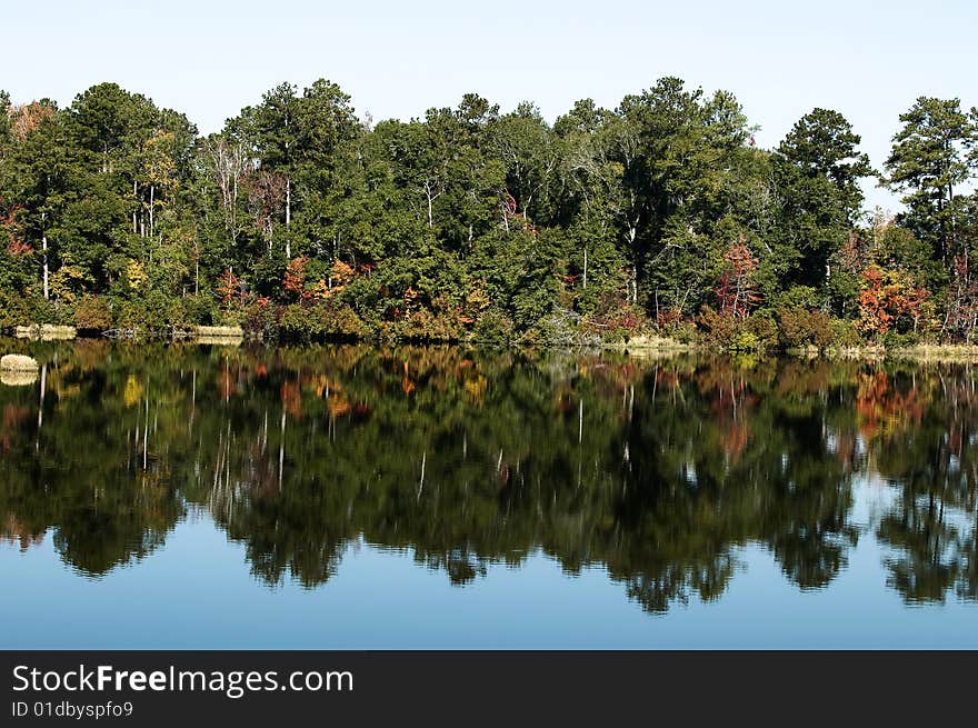 Reflections of fall foliage in the water.