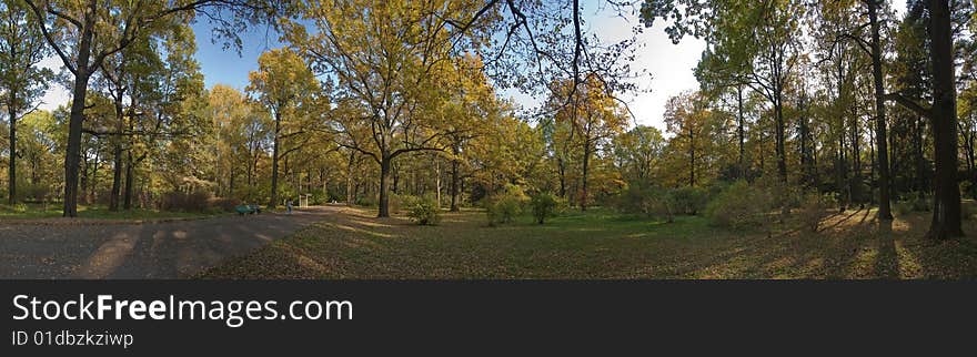 Autumnal panorama, Indian summer with oaks, birches and dark pines