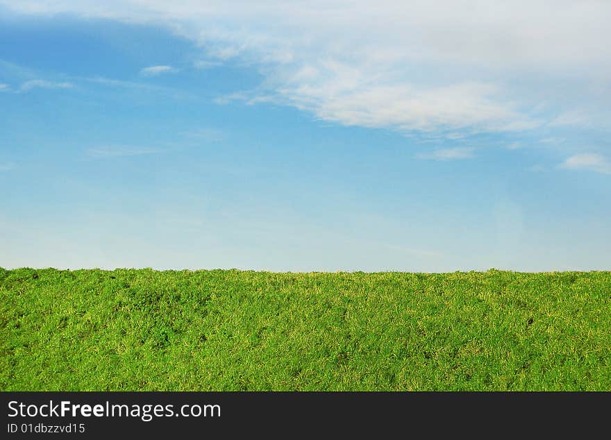 Grass and sky as a background.