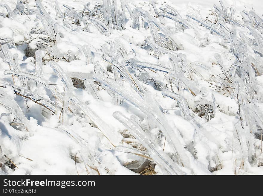 Iced frozen grass as background