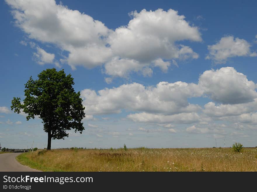 White clouds over  field and road. White clouds over  field and road