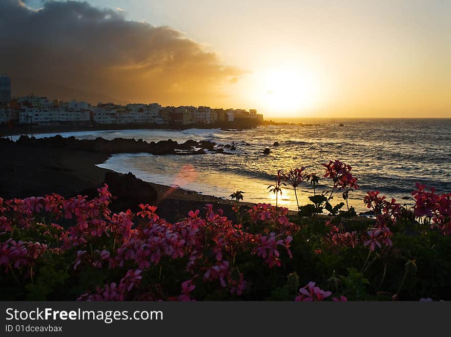 Teneriffe beach in summer holiday