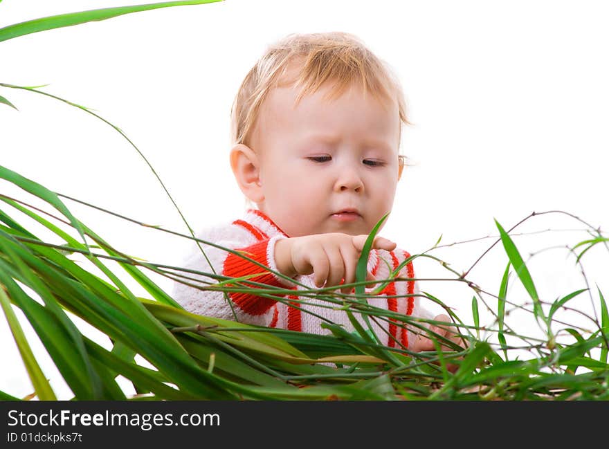 Interest to the leaves of plant