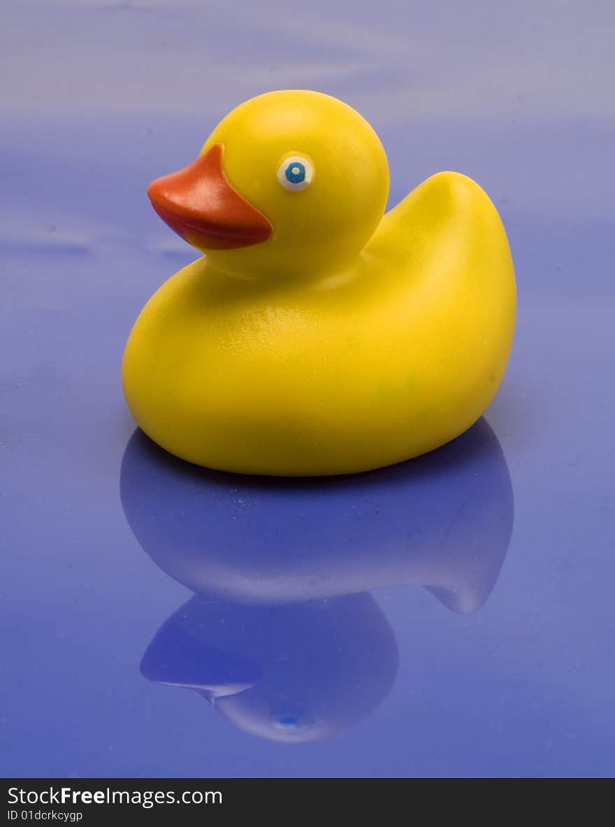 Rubber duck