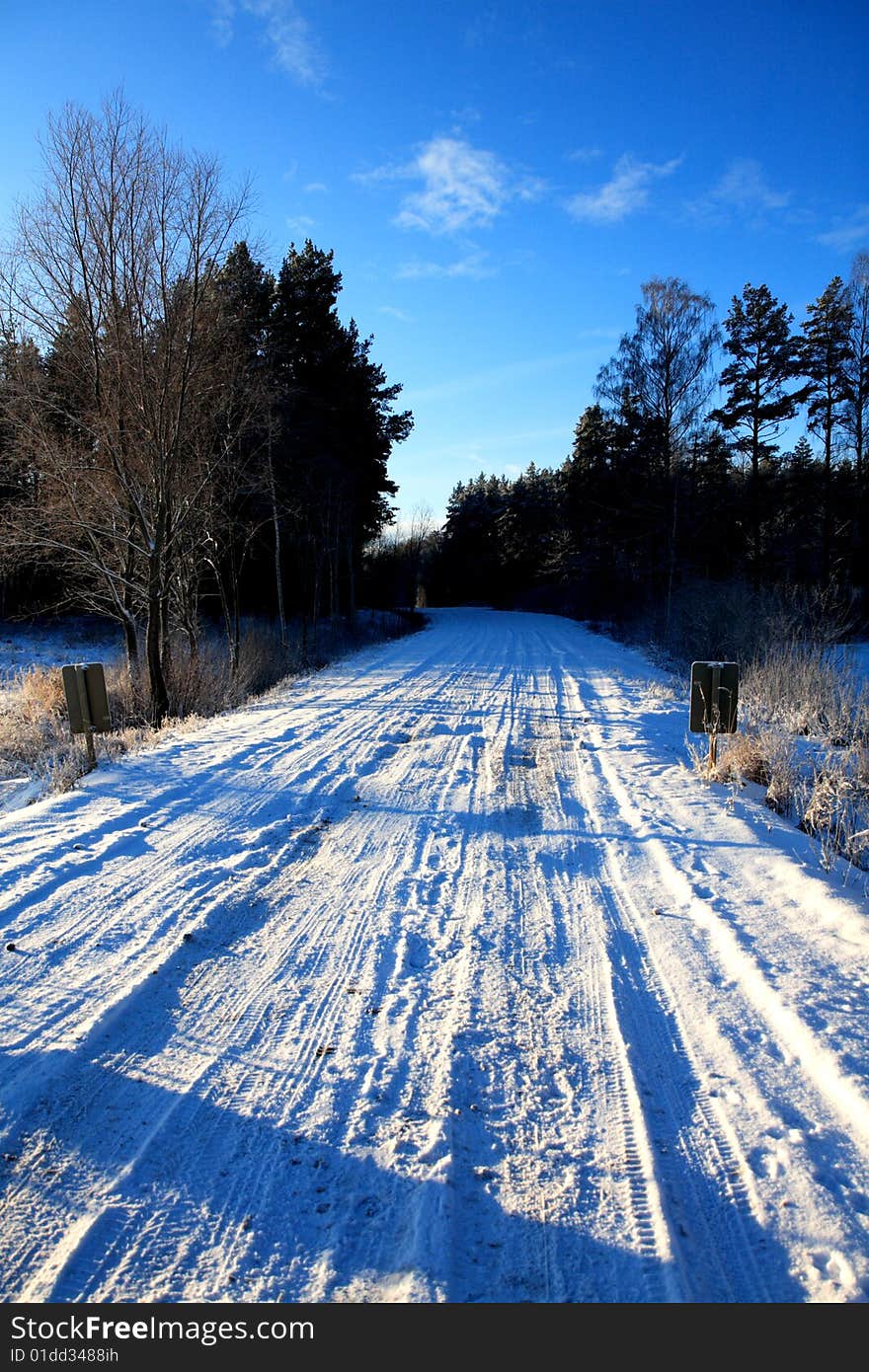 Winter village road in the forest