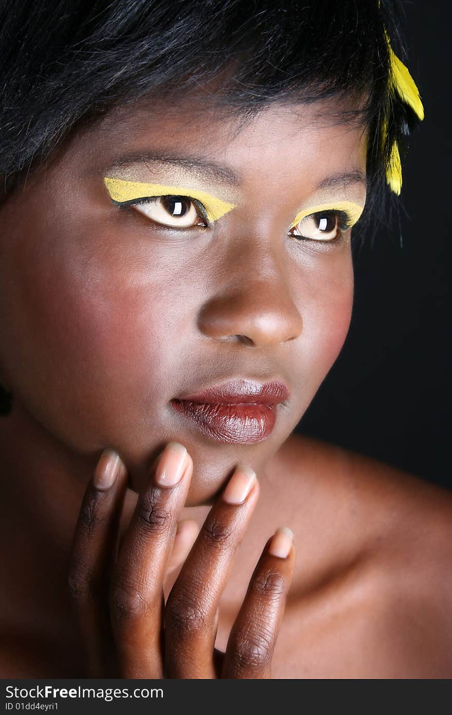 Beautiful young African female model with feathers