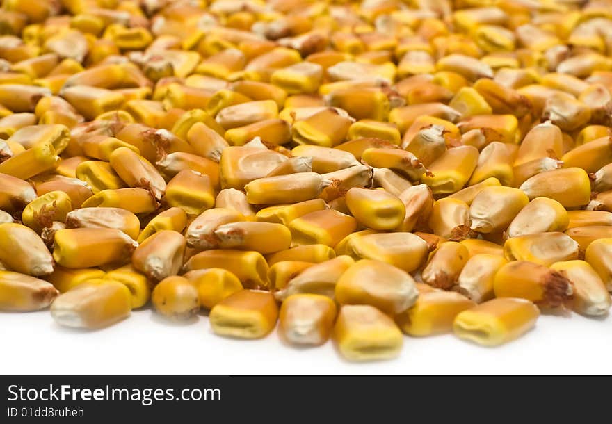 Corn on a white background. Corn on a white background