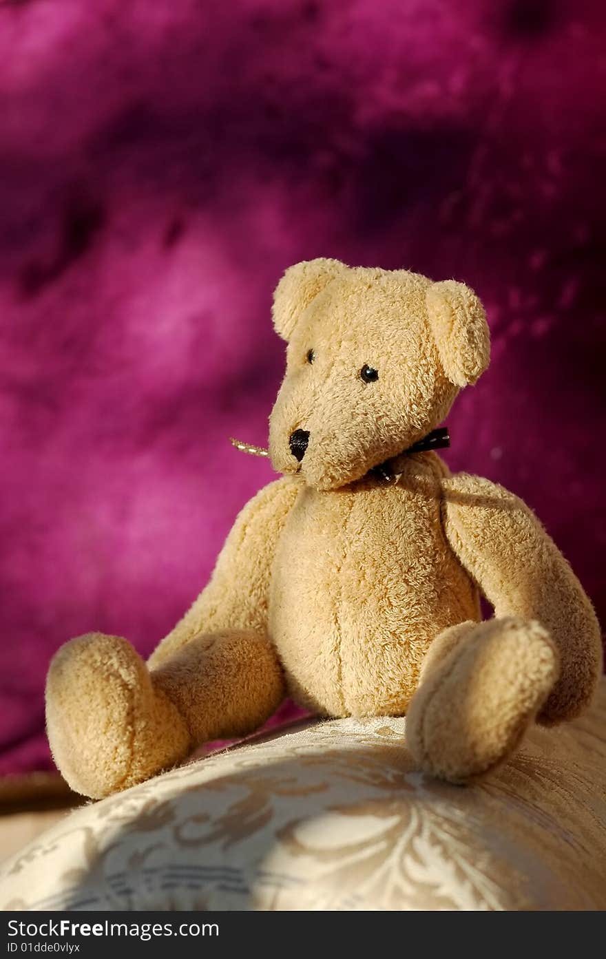 Small soft toy bear sitting on home furnishings. Small soft toy bear sitting on home furnishings