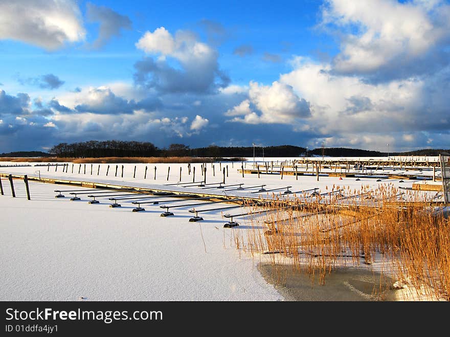 Frozen Buoys