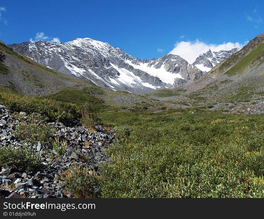 Snow-capped mountains and green grass in the Altai.