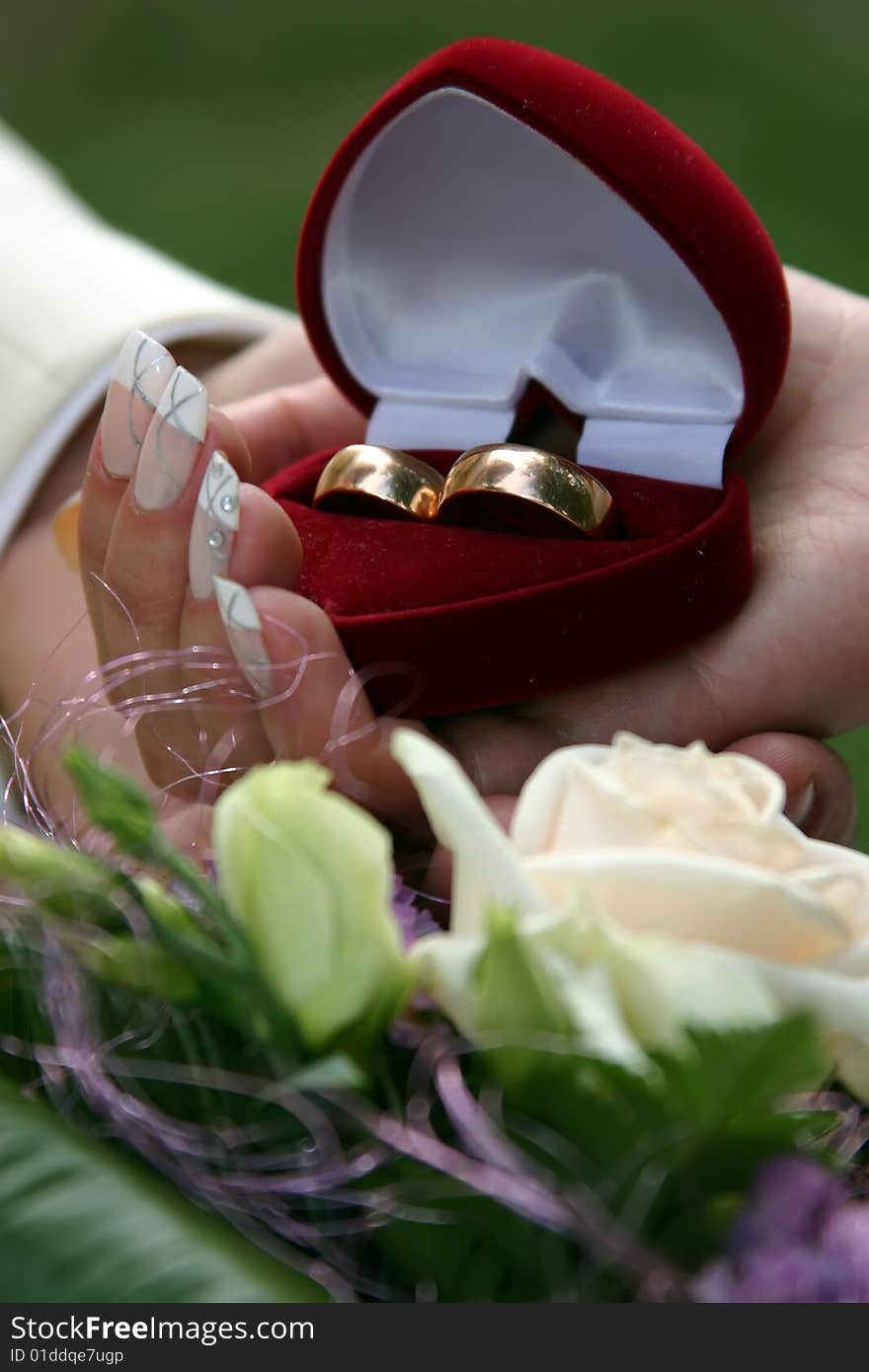 Wedding rings on hands for newly weds