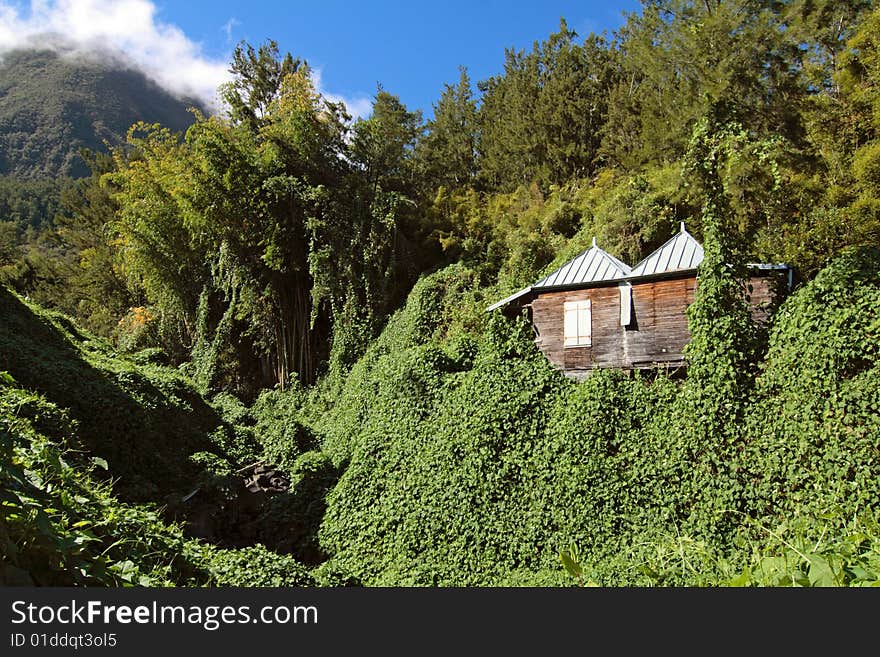 Wooden hut