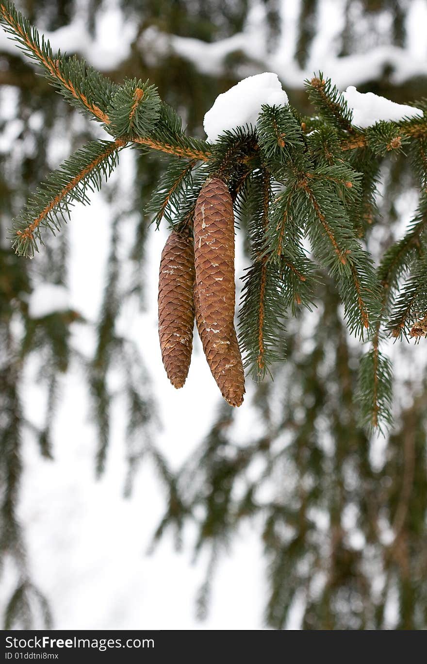 Beautiful seasonal snow