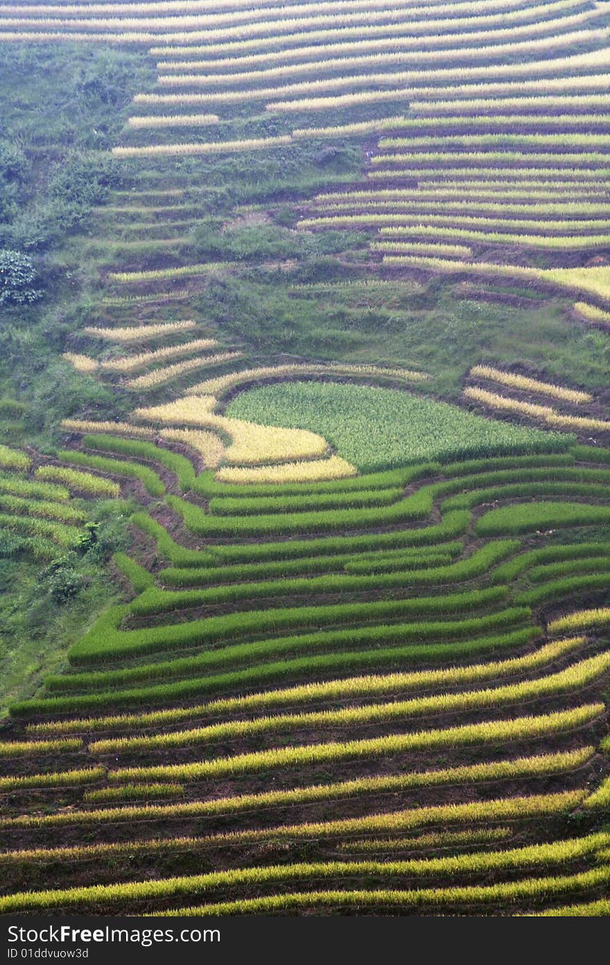 Terrace View In Countryside Village