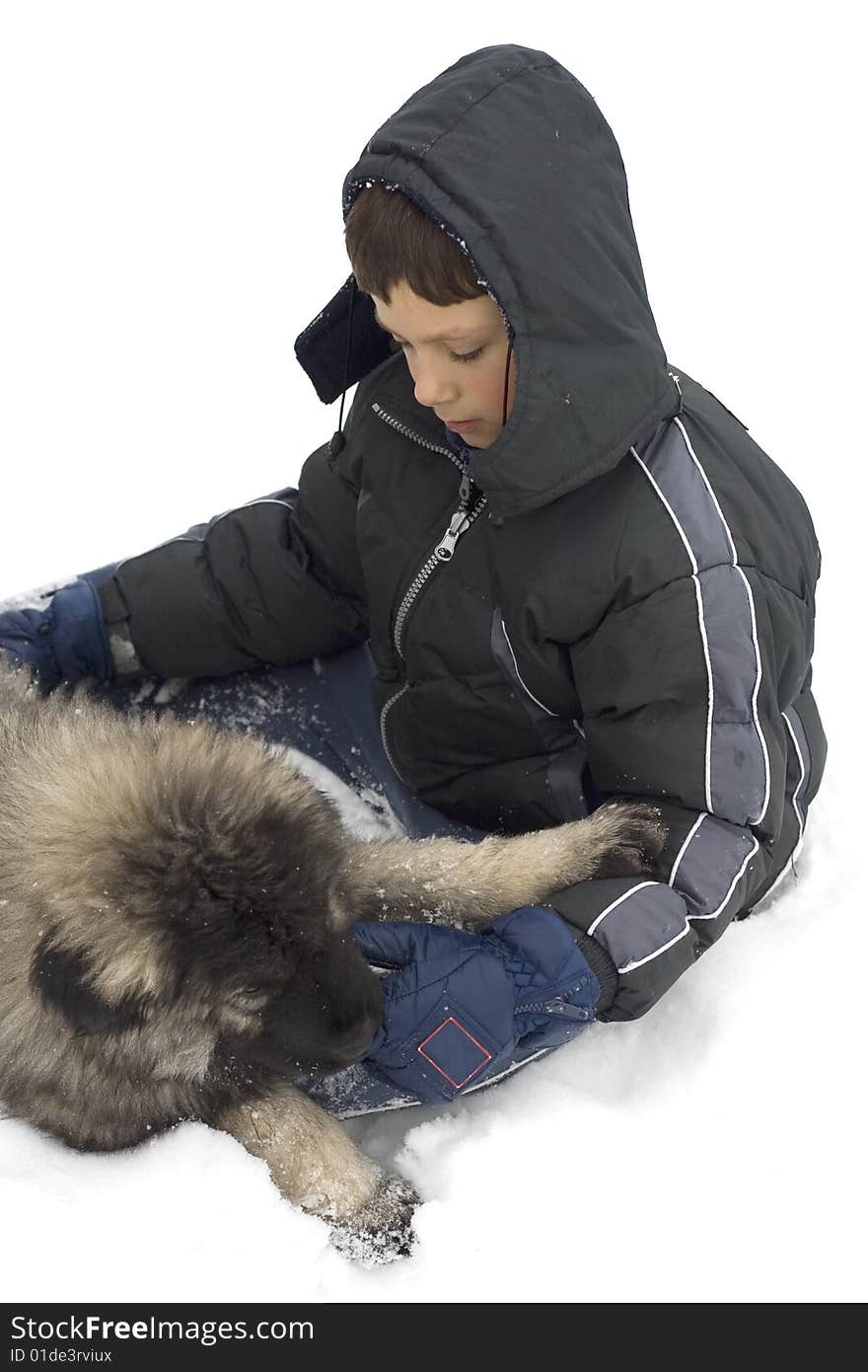 Boy in Snow Playing with Dog. Boy in Snow Playing with Dog