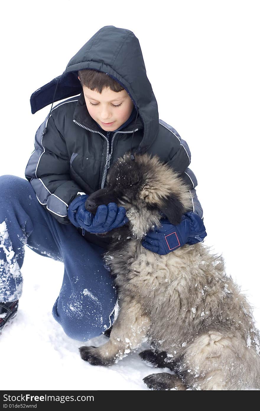 Boy in Snow Playing with Dog. Boy in Snow Playing with Dog