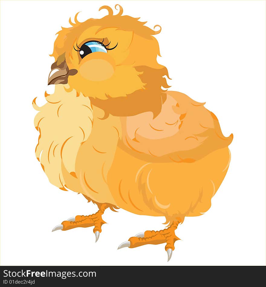 Yellow chicken