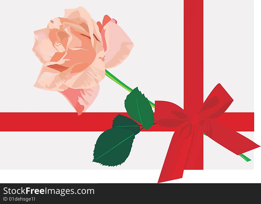 Rose in a gift