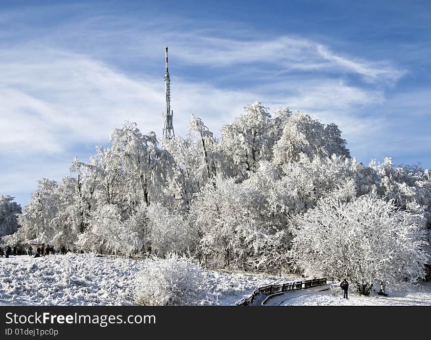 Winter landscape with tower and trees