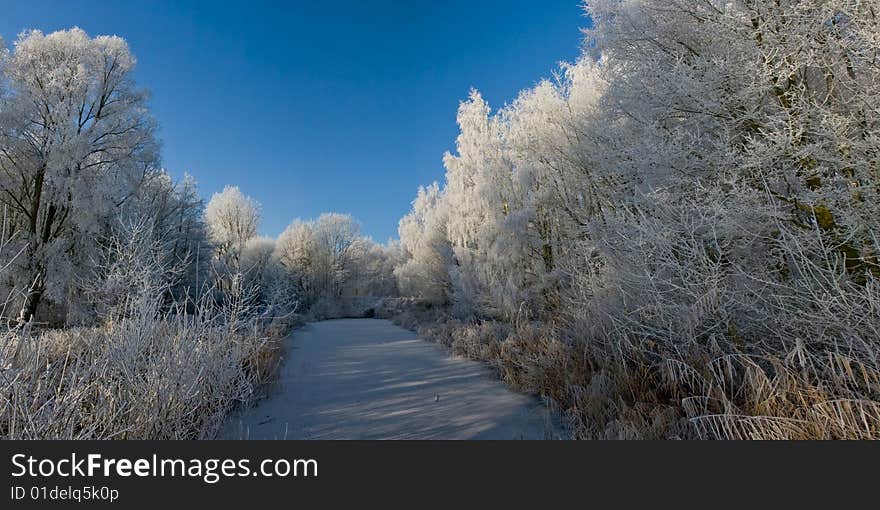 Winter panorama