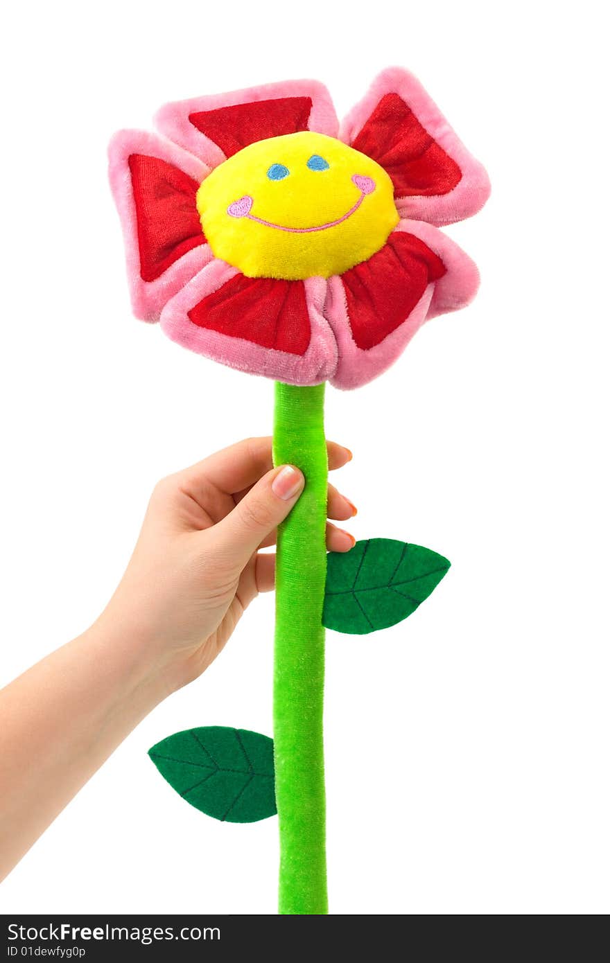 Toy flower in hand isolated on white background