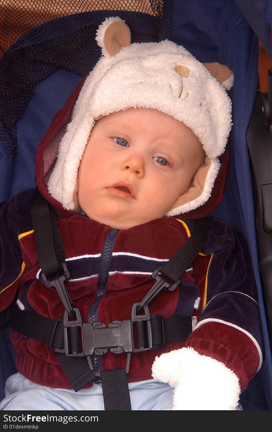 With a look of total boredom in his eyes, an infant boy sits in his stroller patiently waiting to get going. With a look of total boredom in his eyes, an infant boy sits in his stroller patiently waiting to get going.