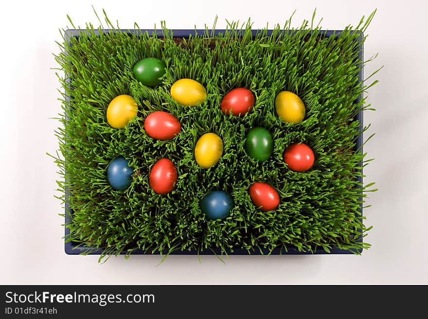 Yellow, red, blue and blue Easter Eggs in Grass