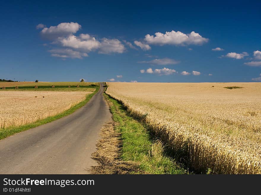 Rural scene on summer day