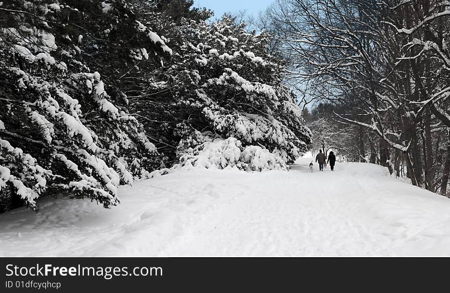 A distand couple walking their dogs in a winter wonderland. A distand couple walking their dogs in a winter wonderland.