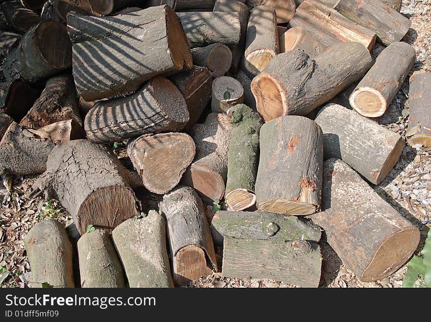 Saw trees clutter piling up on the ground. Saw trees clutter piling up on the ground.