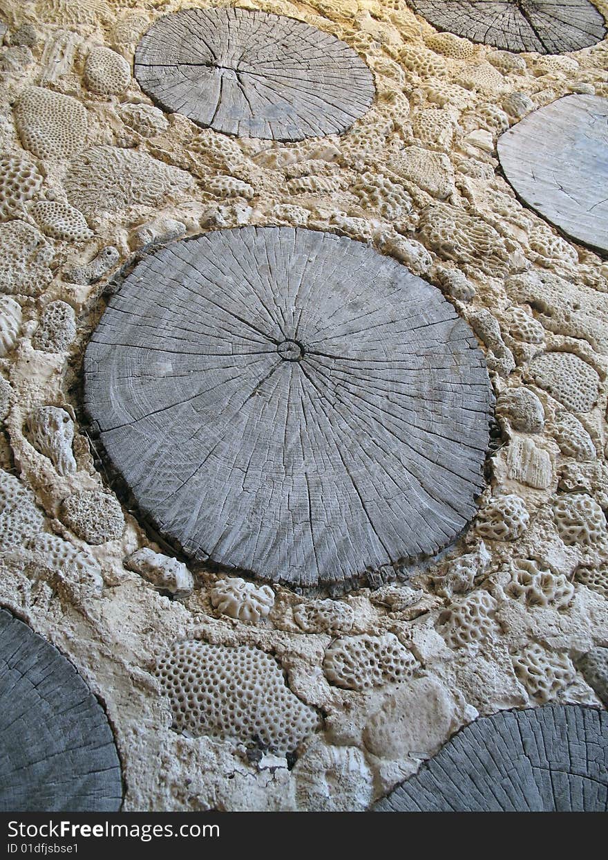 Coral And Stump Beach Pathway