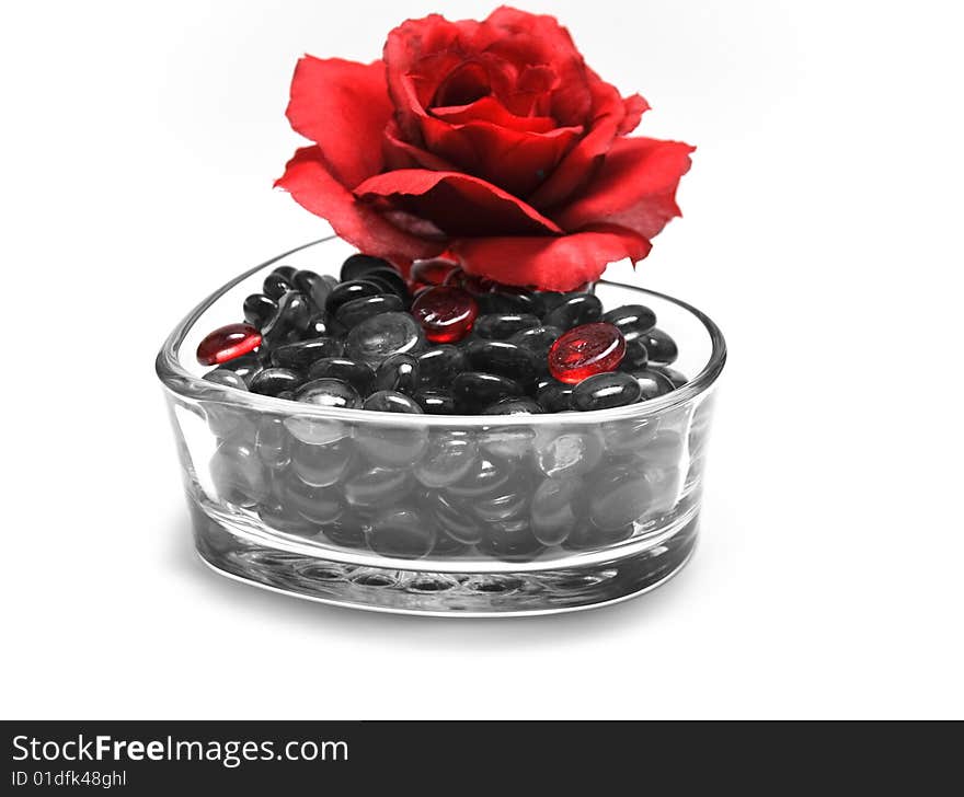 Red Rose and black gems on white background