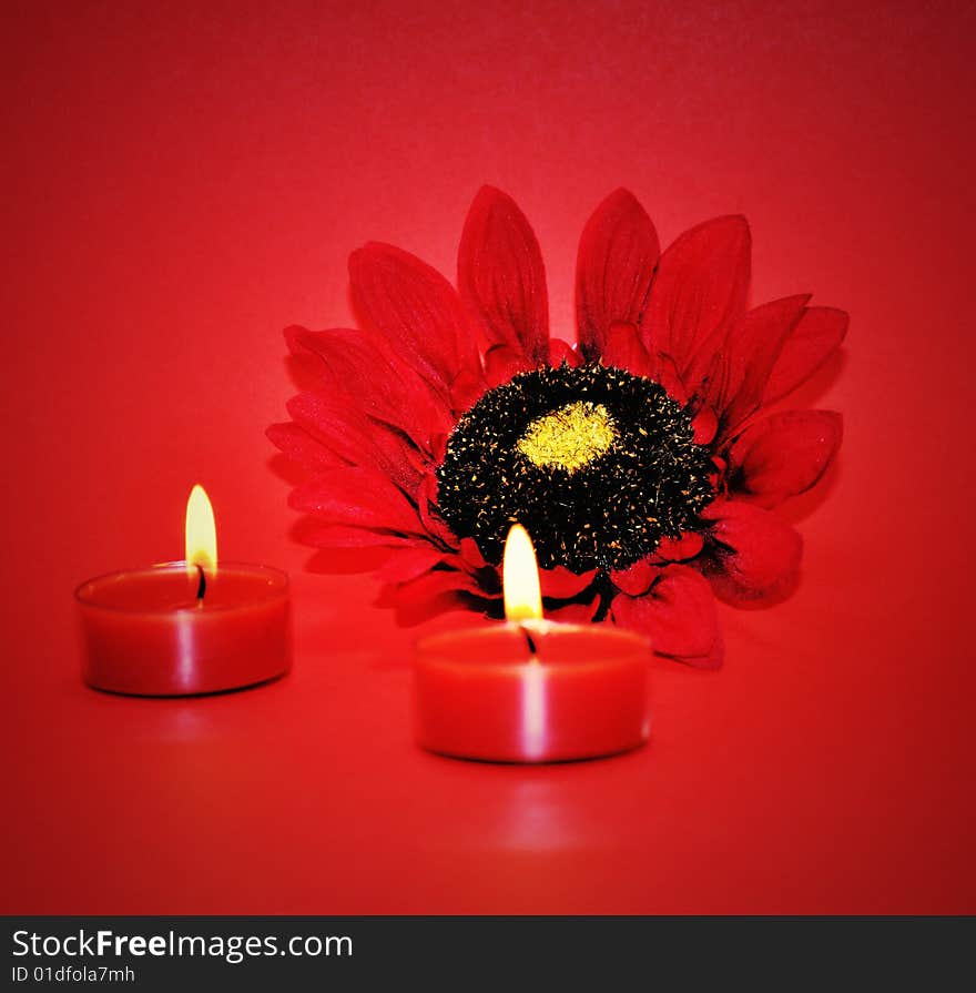 Sunflower and two candles on red background. Sunflower and two candles on red background