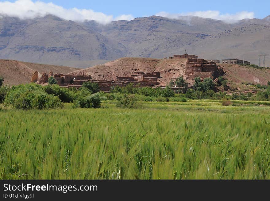 Green field photographed against the background of Atlas mountains