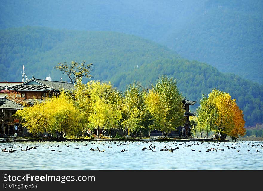 Lake-Lugu charming beautiful scenery in autumn