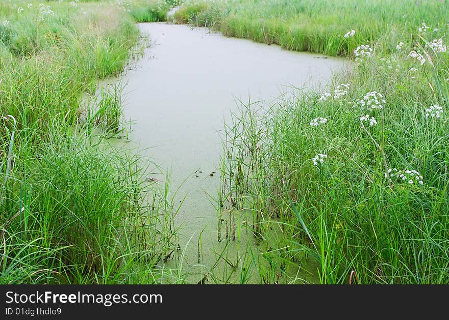 One little lake near Vladivostok city. Russia. One little lake near Vladivostok city. Russia.