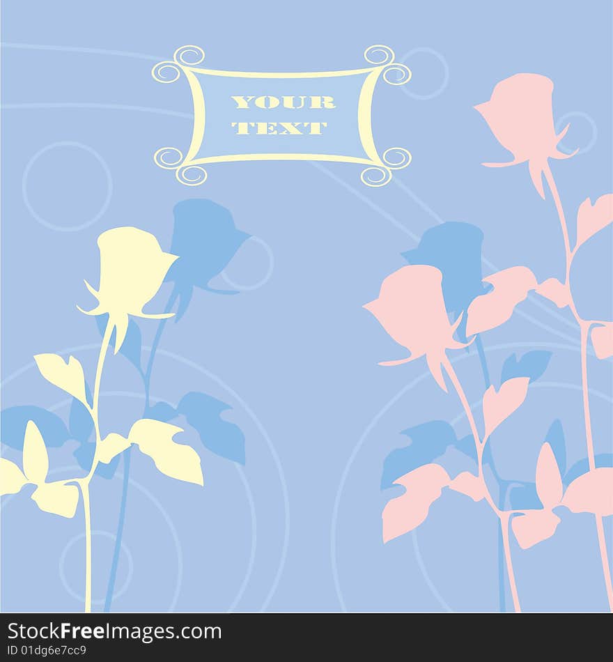 Flowers of various colour on the blue. Flowers of various colour on the blue