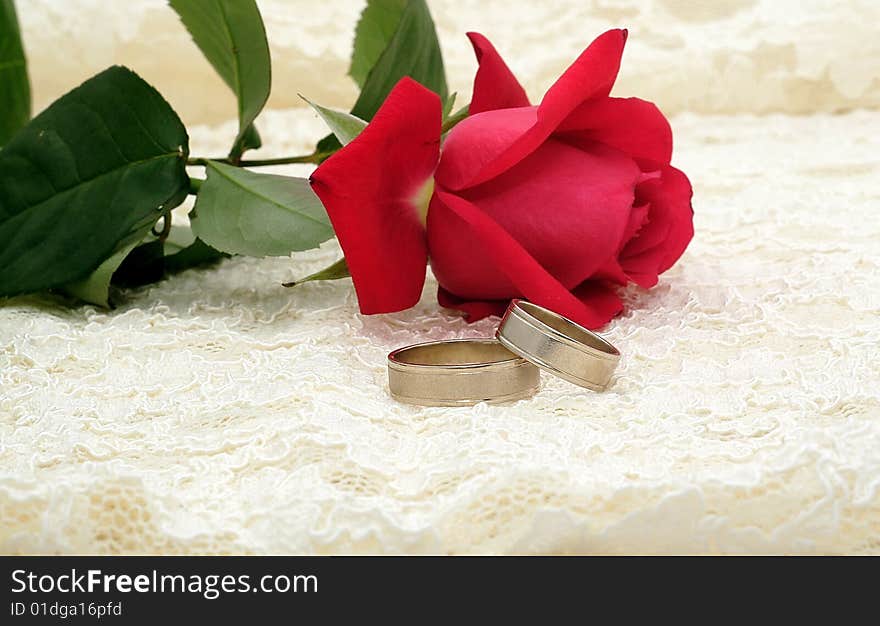 Wedding Rings And Rose