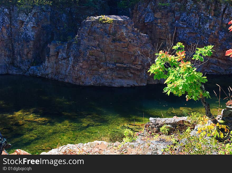 Vanchin river.Russia. Far-East. Backlight leaves. Vanchin river.Russia. Far-East. Backlight leaves.