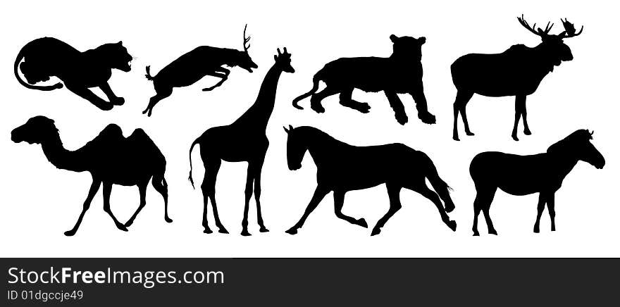 Silhouettes of various animals on white