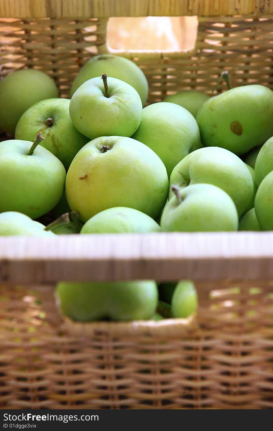 Green Apple Fruit