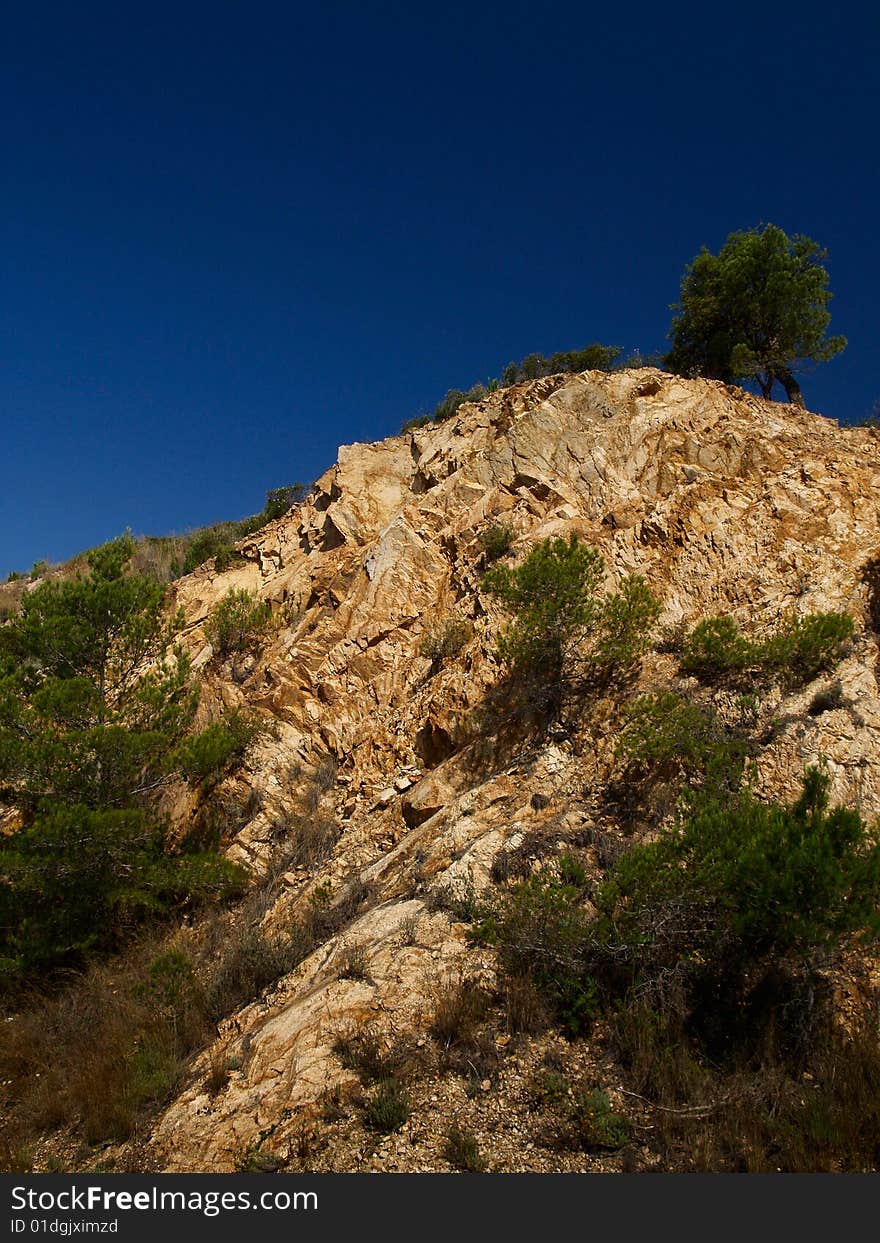 Isoleted tree on a bare rock against blue sky. Isoleted tree on a bare rock against blue sky