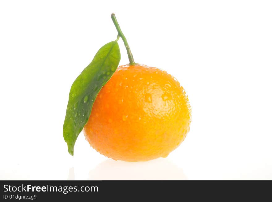 Juicy orange