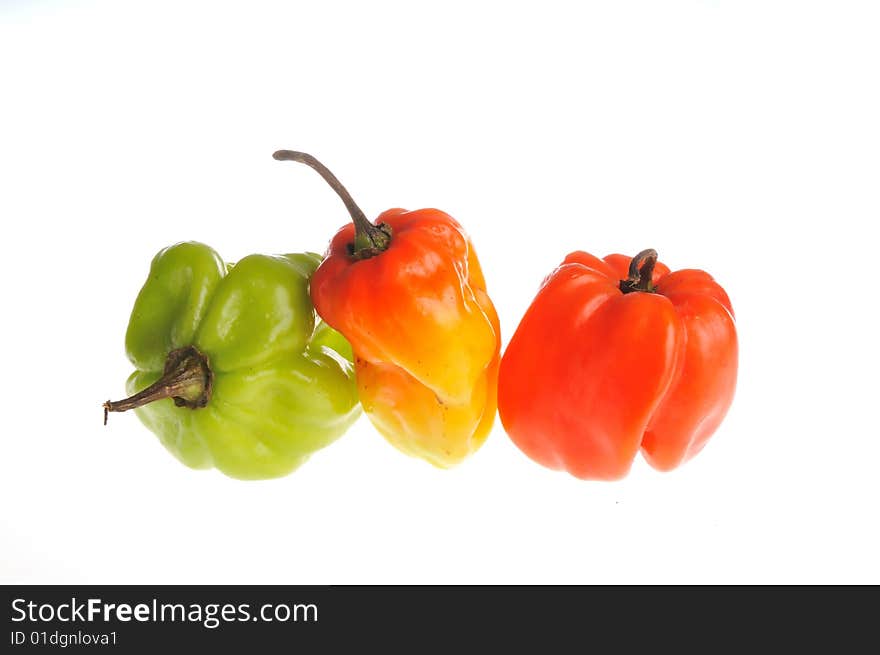 Habanero chilli in different colours. Habanero chilli in different colours