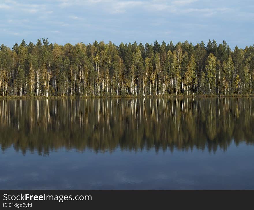 Forest and sky reflected in the lake. Forest and sky reflected in the lake.