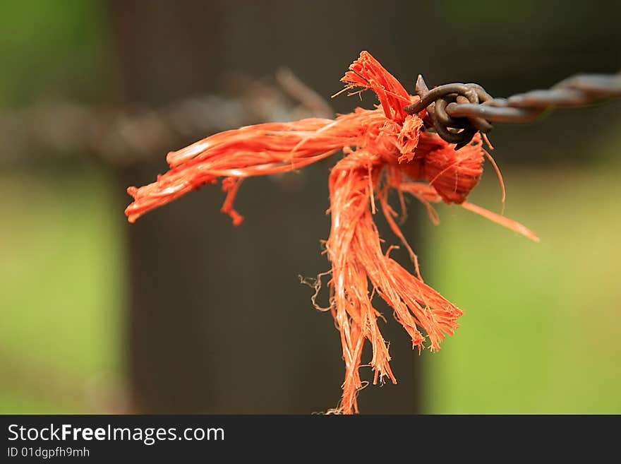 A picutre of some red cloth that got stuck in a barb wire fence surrounding a farm. A picutre of some red cloth that got stuck in a barb wire fence surrounding a farm