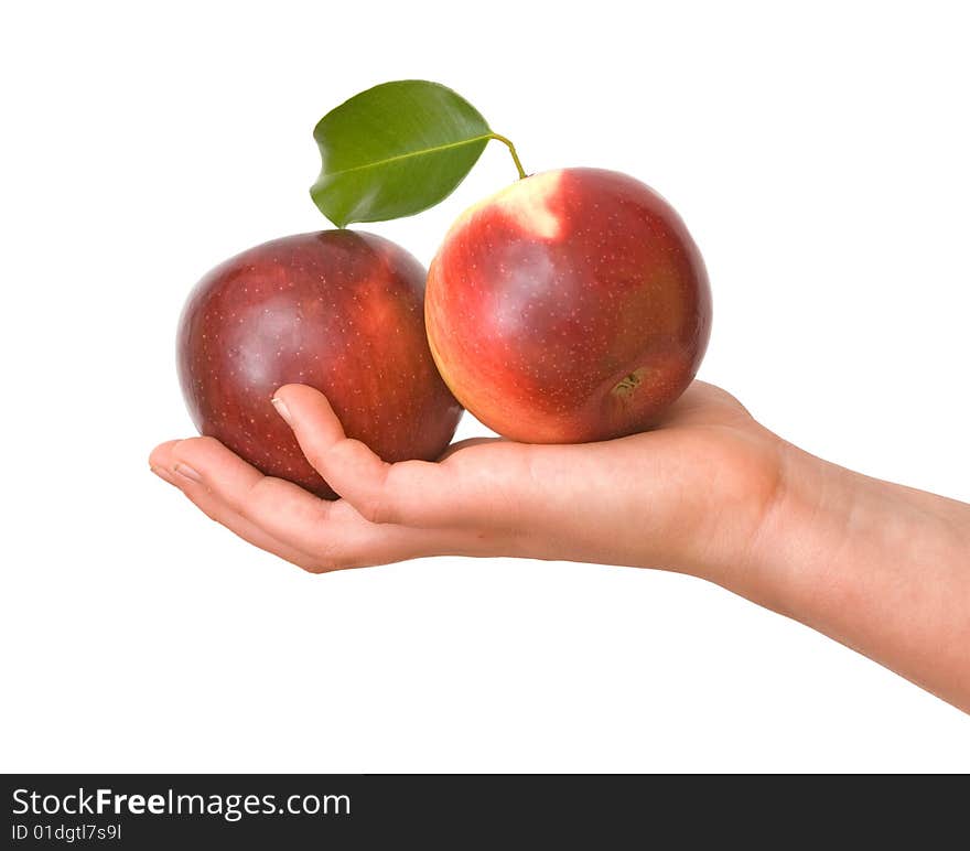 Girl's hand with two apples  isolated on white background