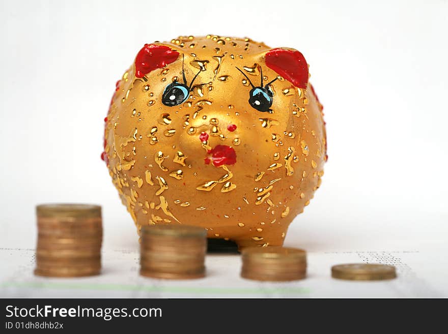 Piggy Bank With Icon